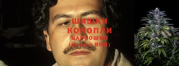 каннабис Белокуриха