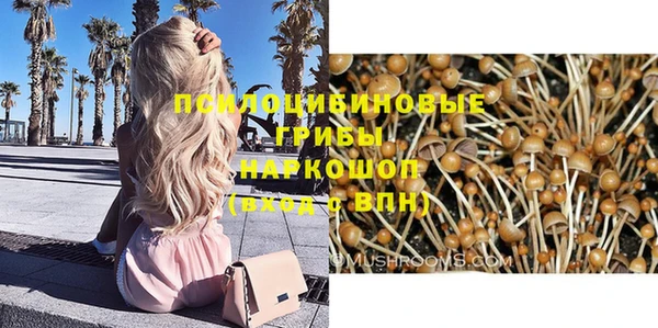 ГАЛЛЮЦИНОГЕННЫЕ ГРИБЫ Беломорск